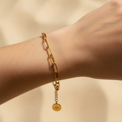 Linea Gliederarmband goldfarben aus Edelstahl am Handgelenk getragen.
