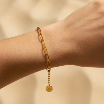 Linea Gliederarmband goldfarben aus Edelstahl am Handgelenk getragen.